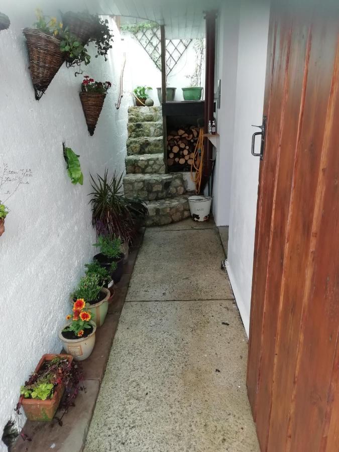 Clearview Cottage セント・オーステル エクステリア 写真